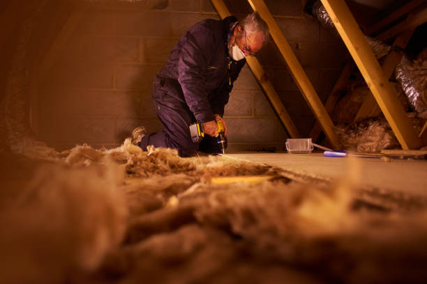 Professional Insulation Contractor in Denton, TX